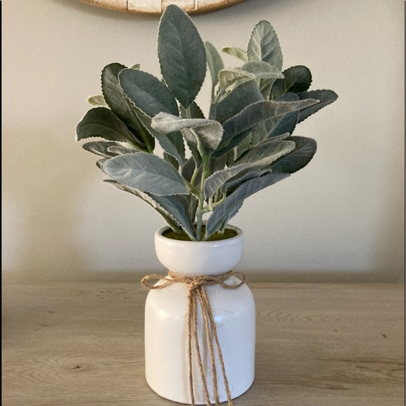 ❌SOLD Farmhouse Faux Lamb's Ear Ceramic Planter - Picture 4 of 7